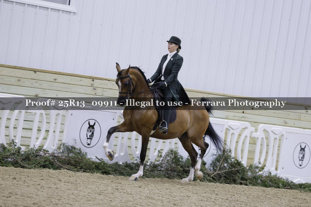 Proof 25R13_09911
