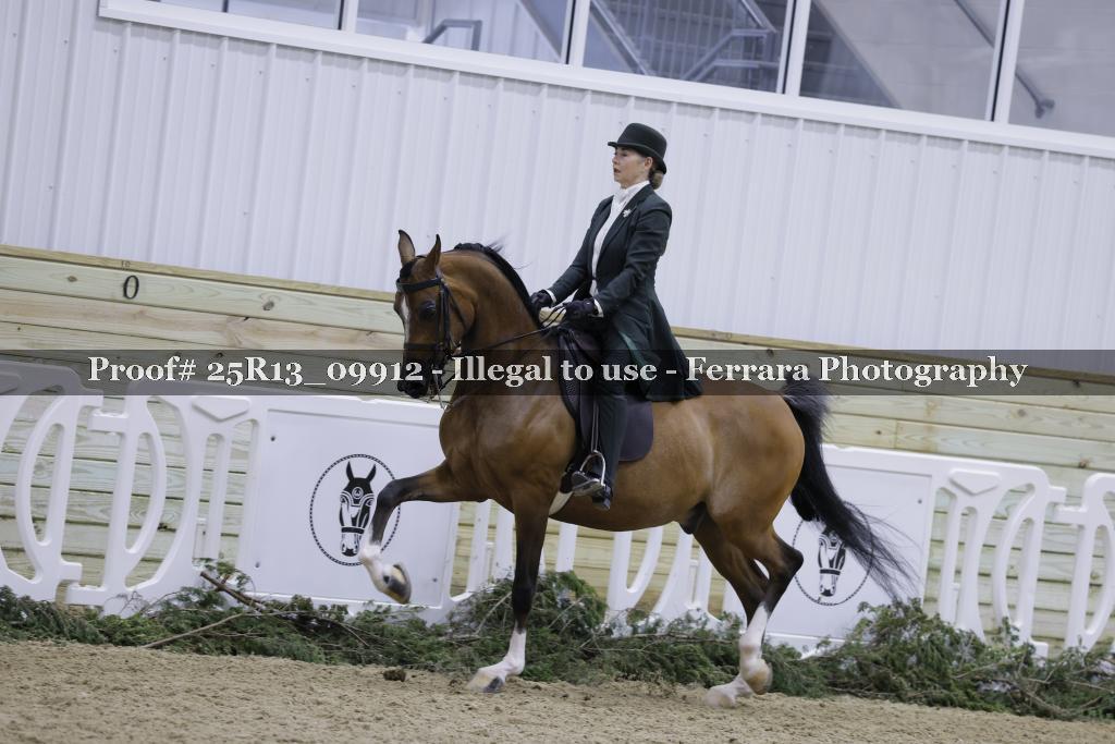 Proof 25R13_09912