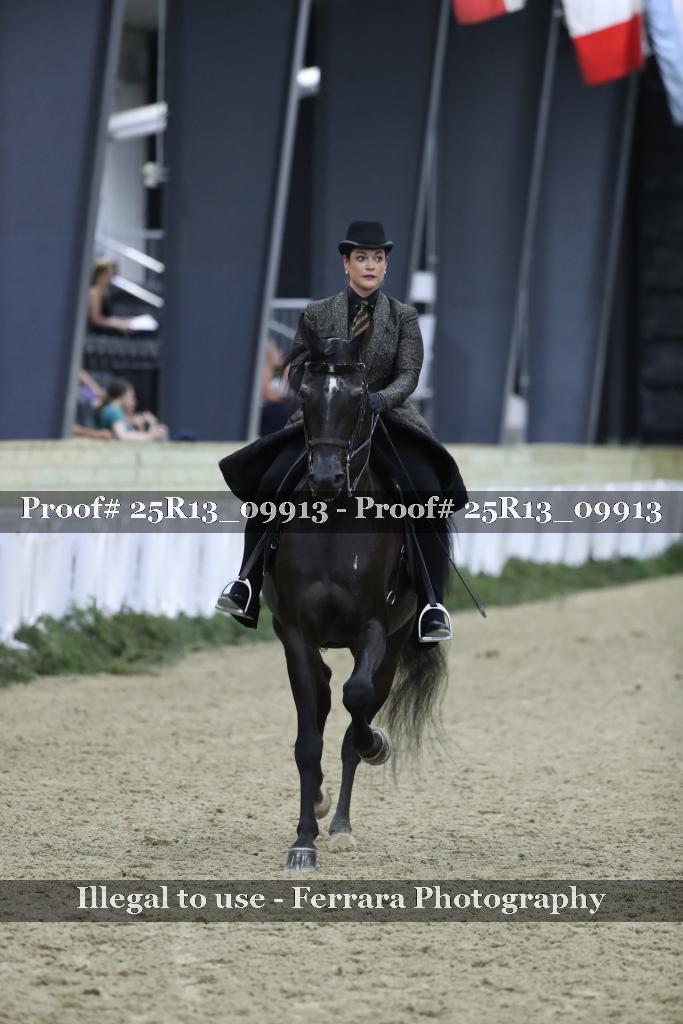 Proof 25R13_09913
