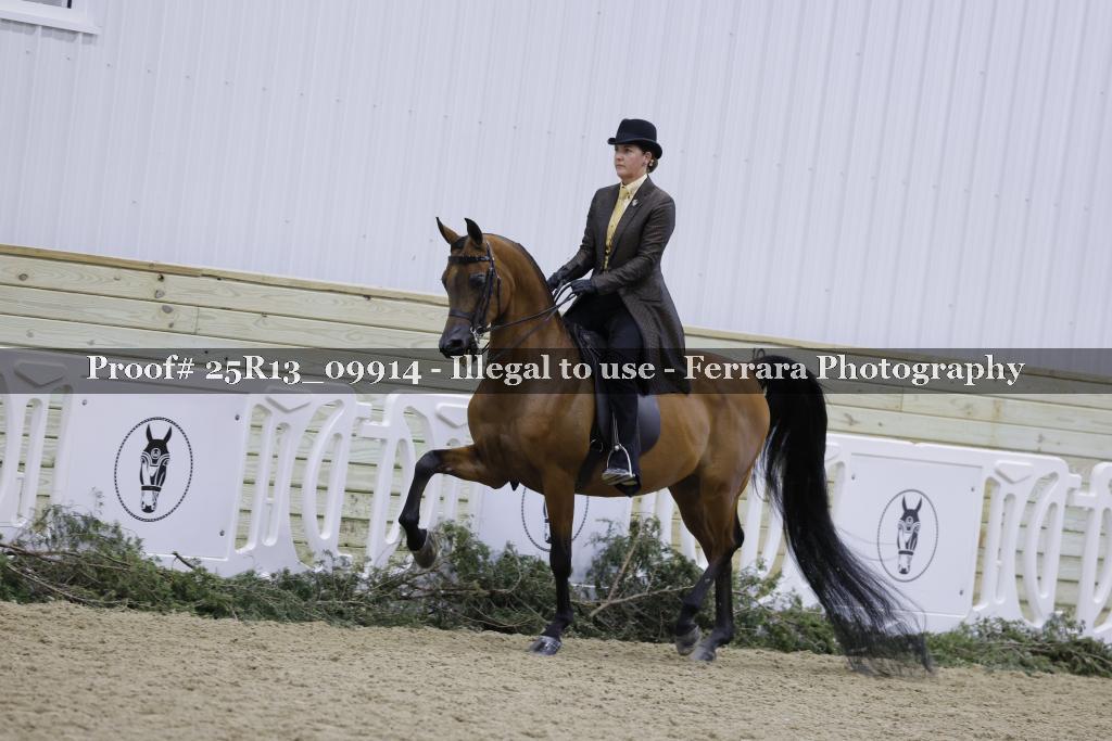 Proof 25R13_09914