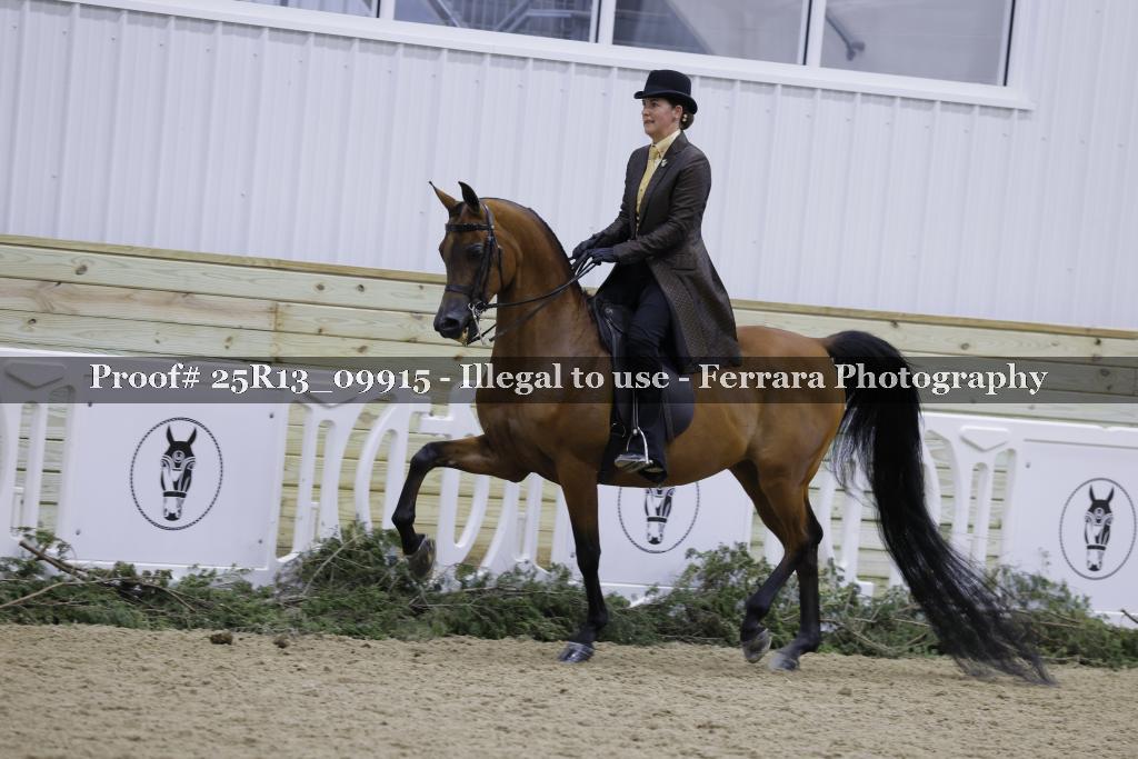 Proof 25R13_09915