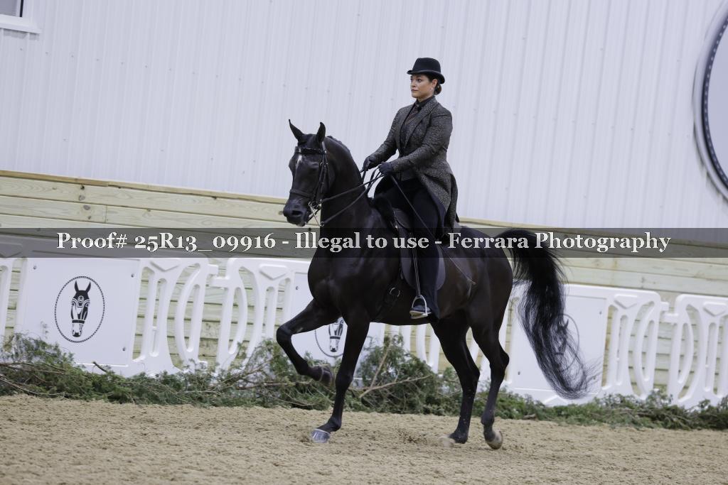 Proof 25R13_09916