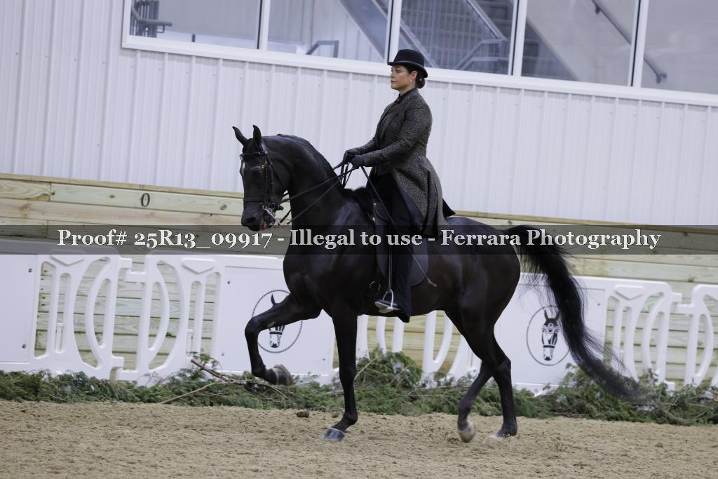 Proof 25R13_09917