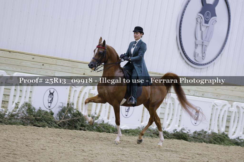 Proof 25R13_09918