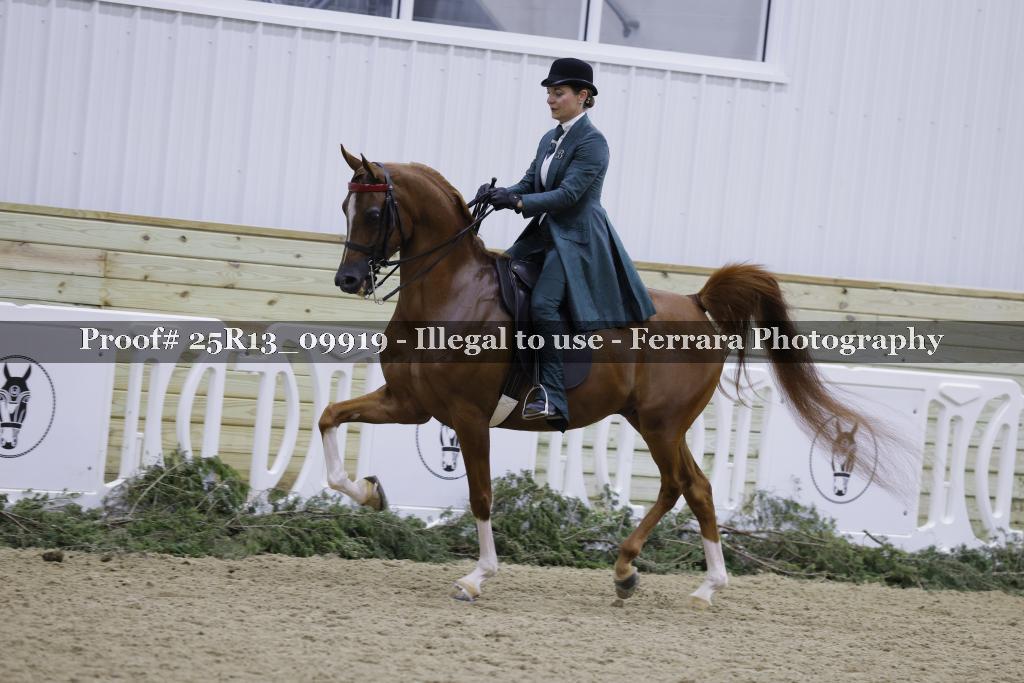 Proof 25R13_09919