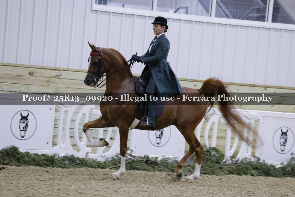 Proof 25R13_09920