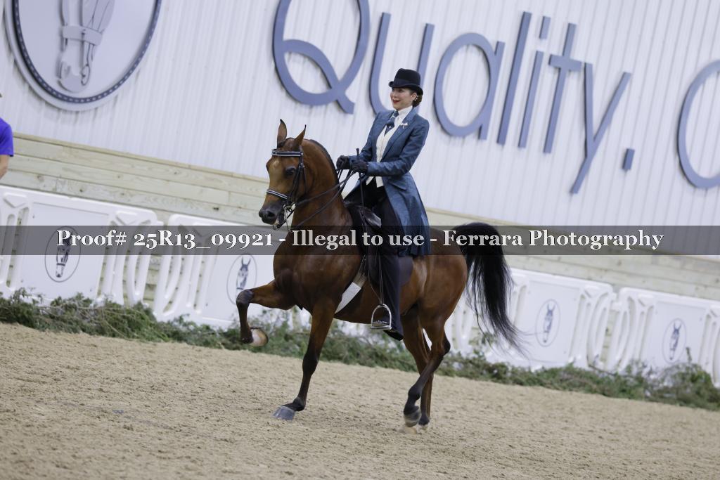 Proof 25R13_09921