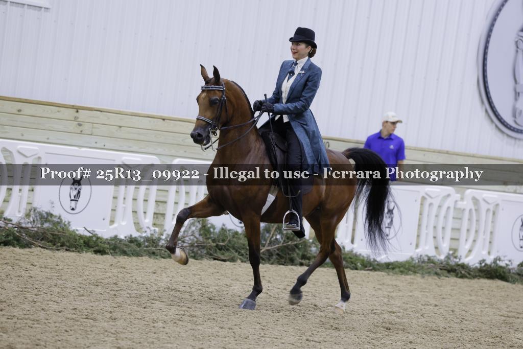 Proof 25R13_09922