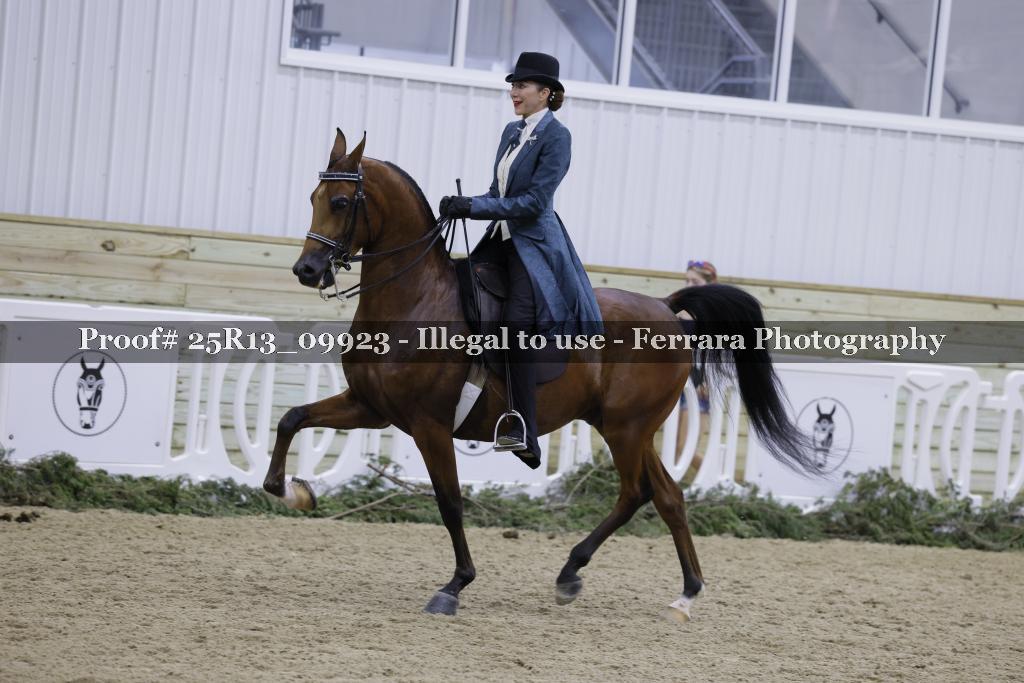 Proof 25R13_09923