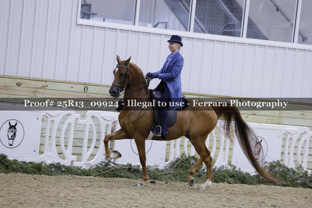 Proof 25R13_09924