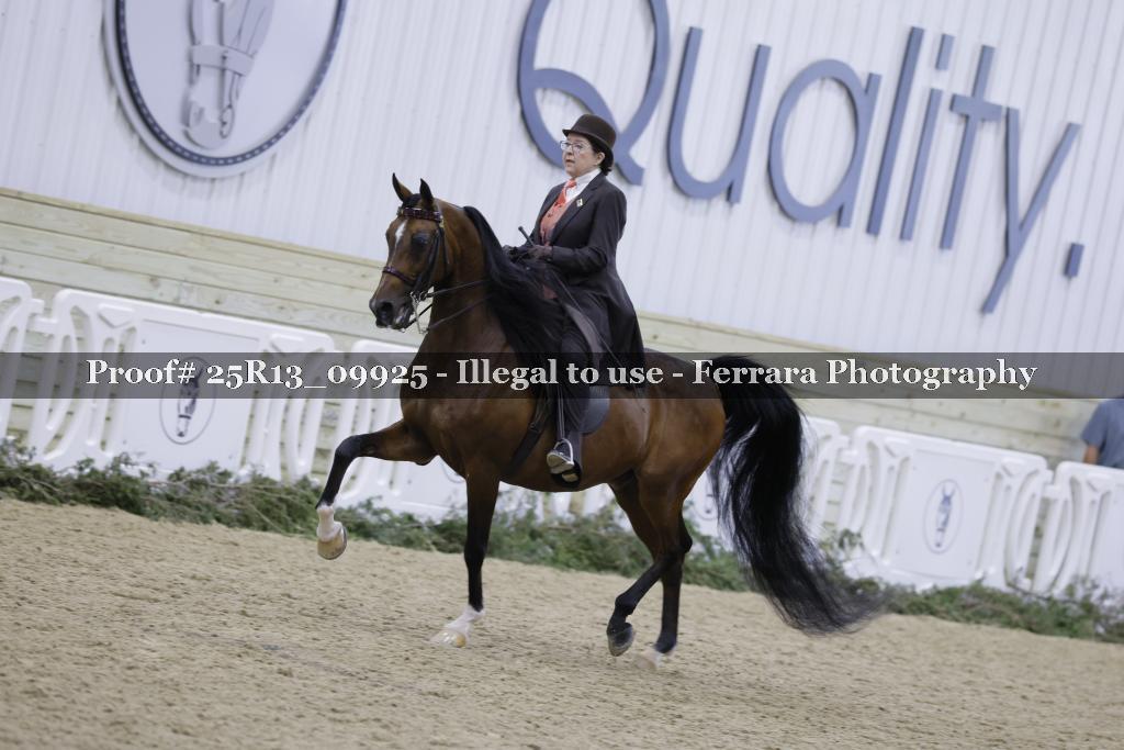 Proof 25R13_09925