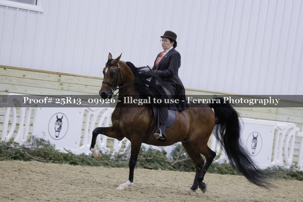 Proof 25R13_09926