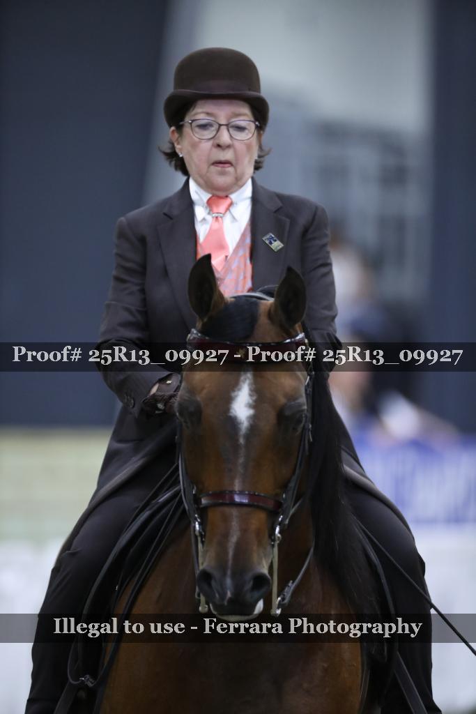 Proof 25R13_09927