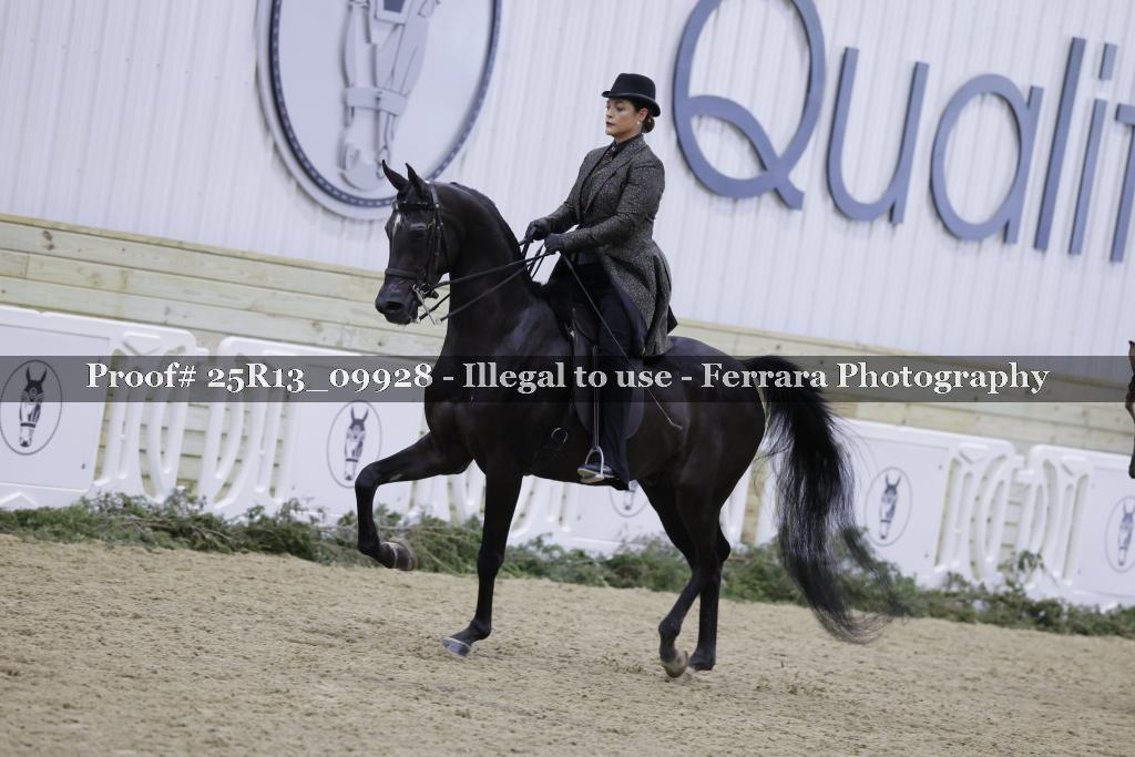 Proof 25R13_09928