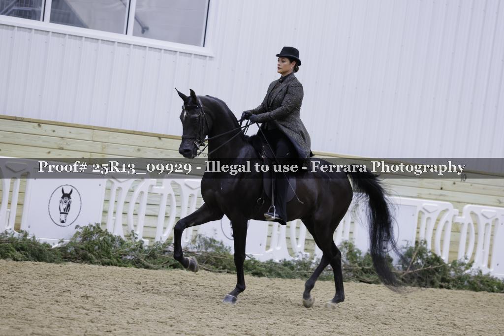 Proof 25R13_09929