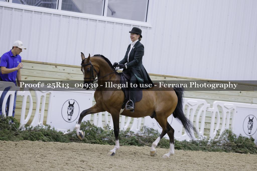 Proof 25R13_09930