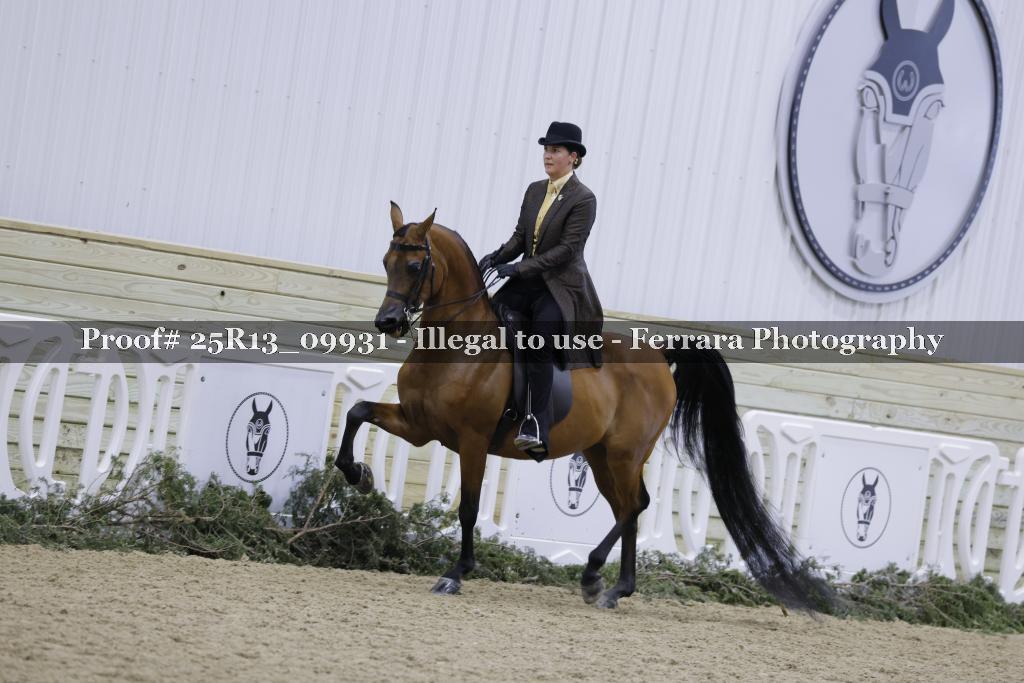 Proof 25R13_09931