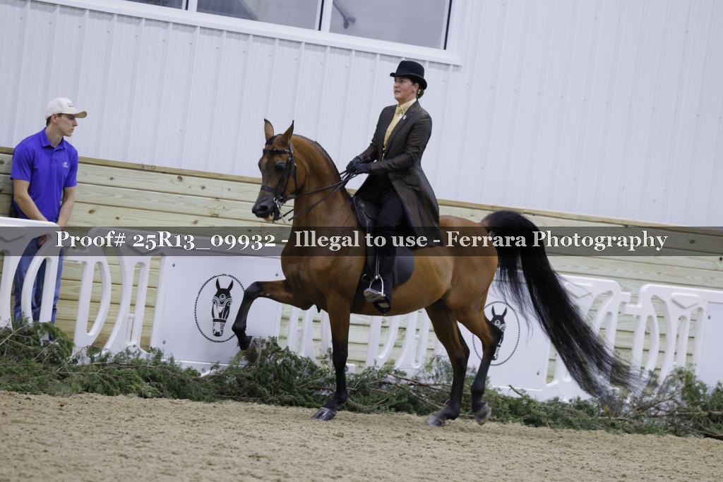 Proof 25R13_09932