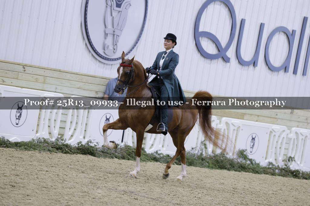 Proof 25R13_09933