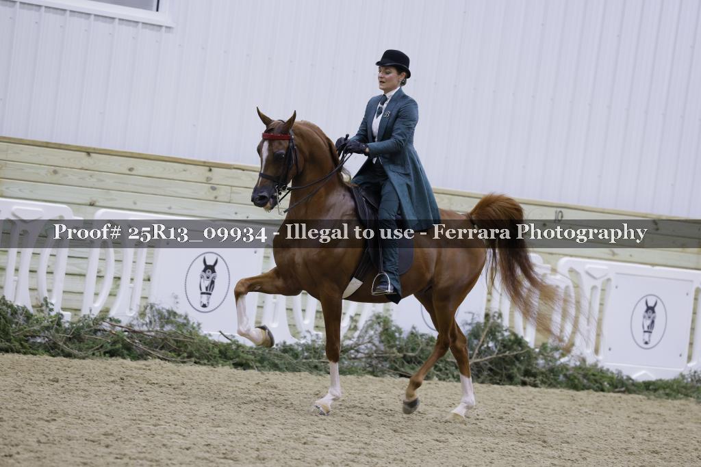 Proof 25R13_09934