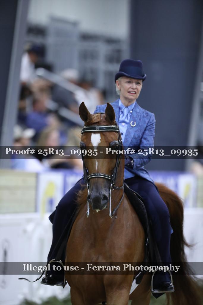 Proof 25R13_09935