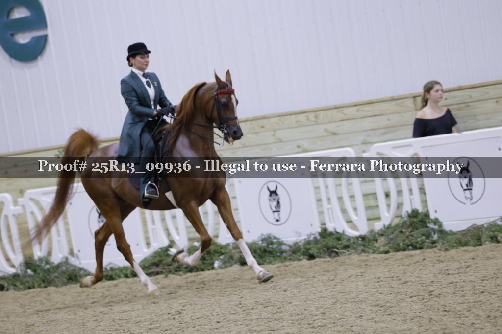 Proof 25R13_09936
