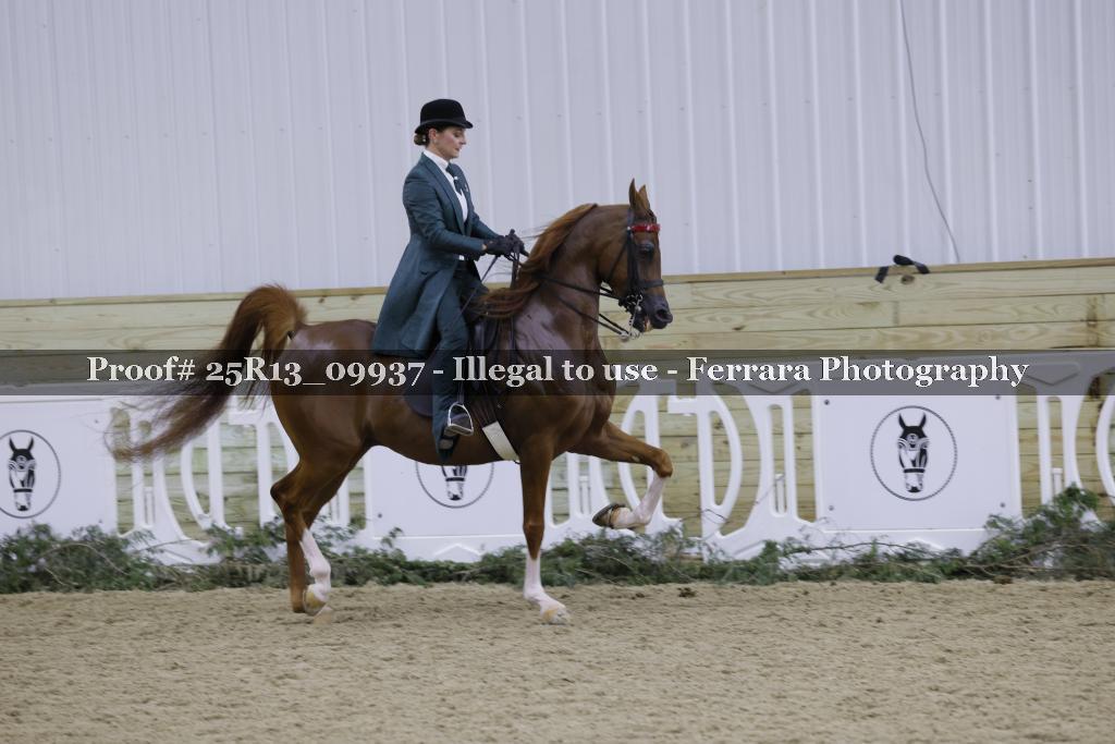 Proof 25R13_09937