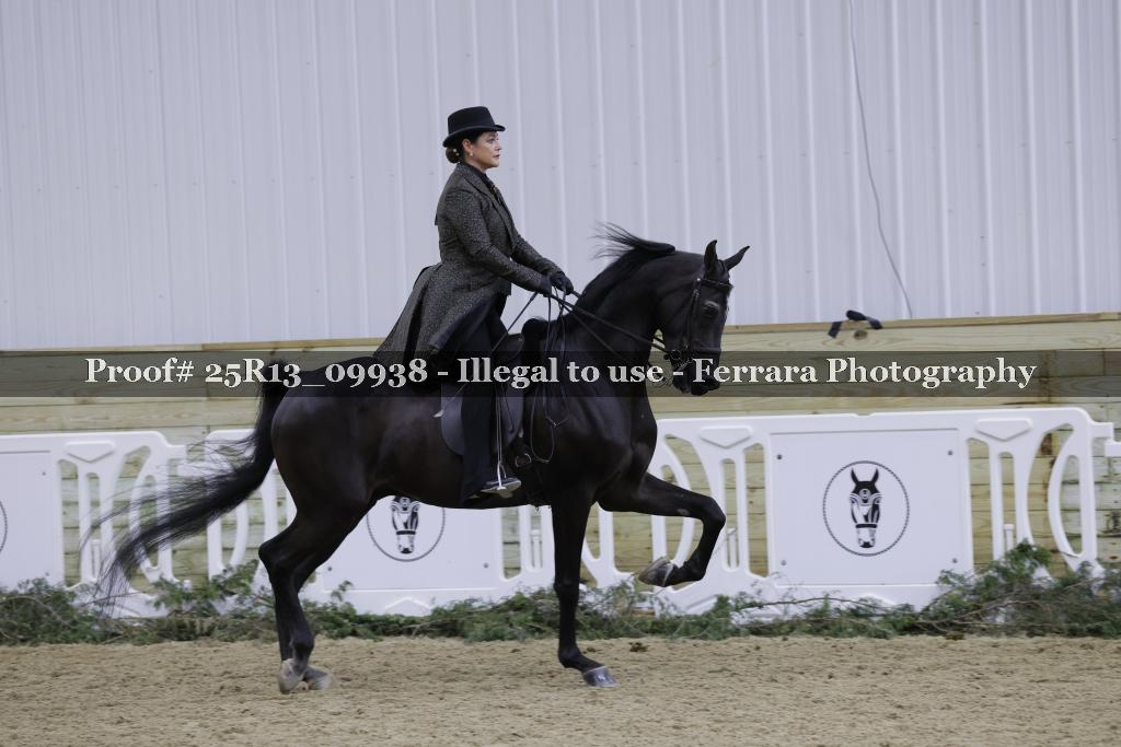 Proof 25R13_09938