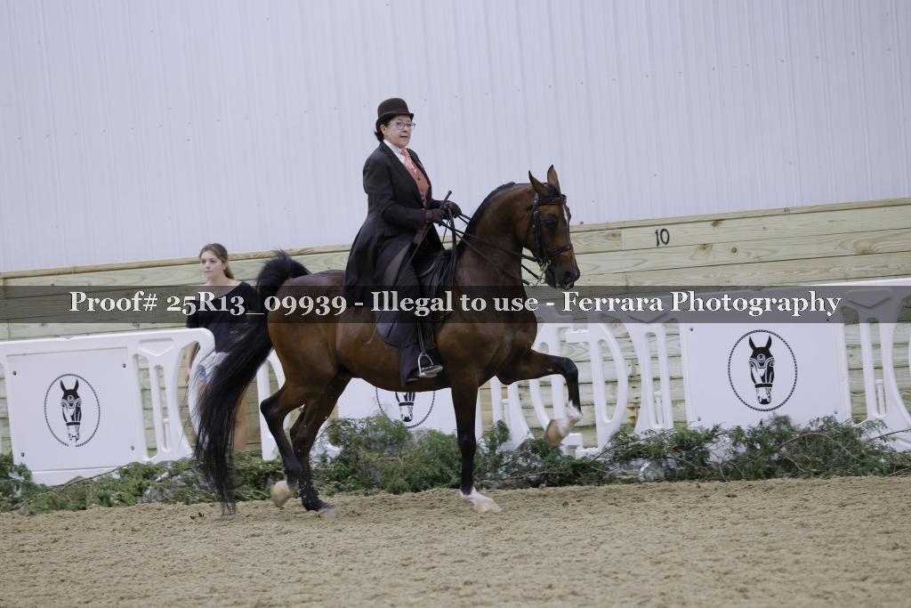 Proof 25R13_09939