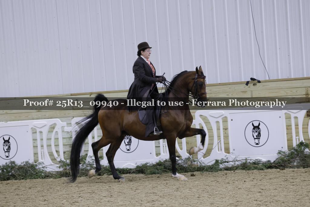 Proof 25R13_09940