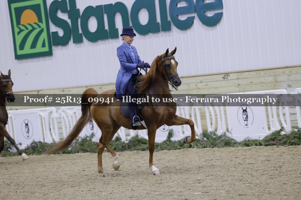 Proof 25R13_09941