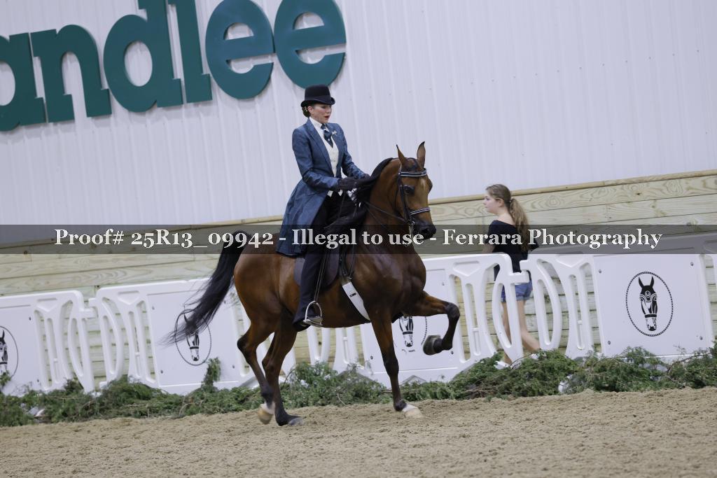 Proof 25R13_09942