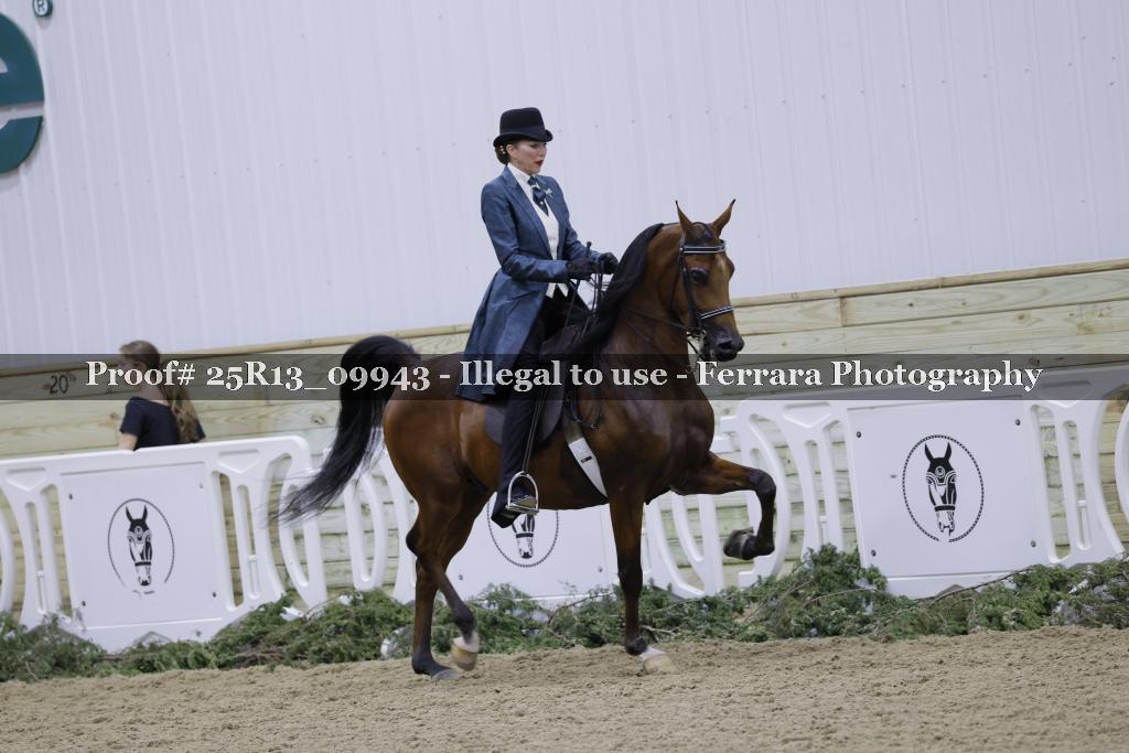 Proof 25R13_09943