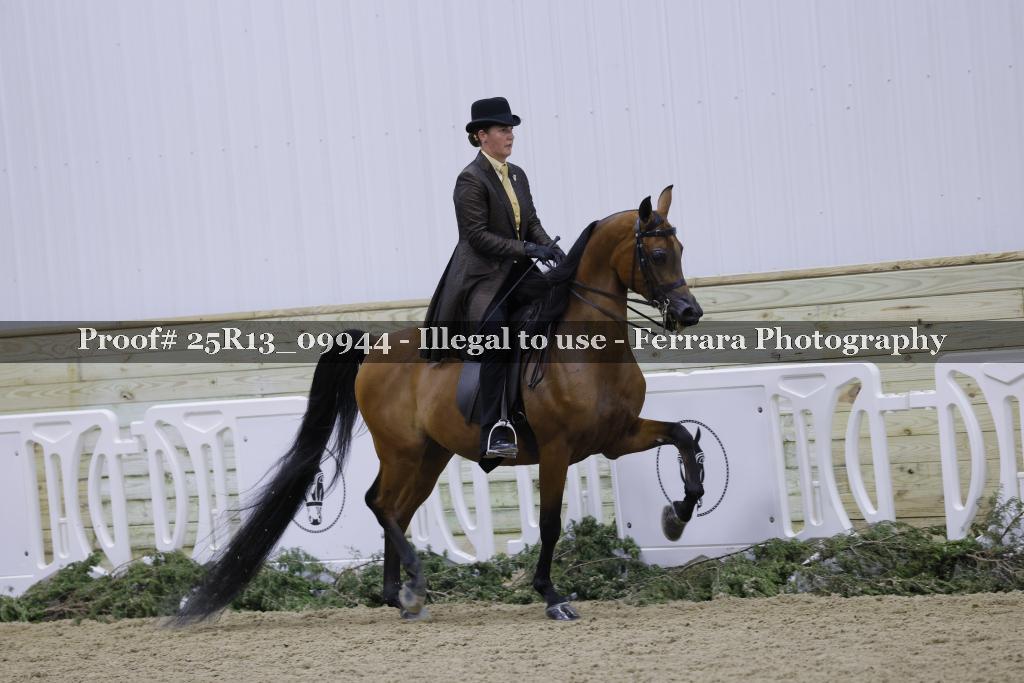 Proof 25R13_09944