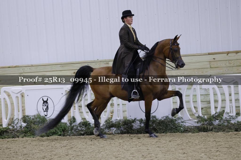 Proof 25R13_09945