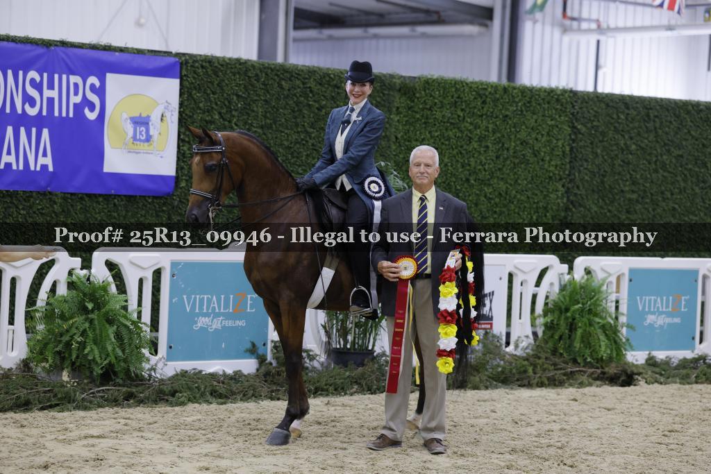 Proof 25R13_09946