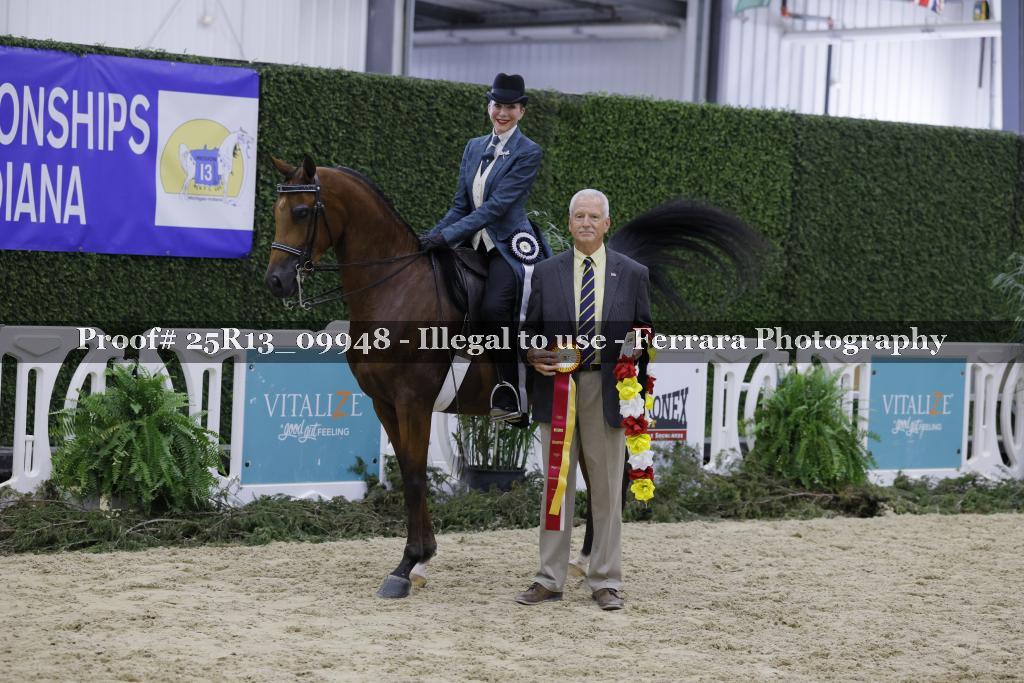 Proof 25R13_09948