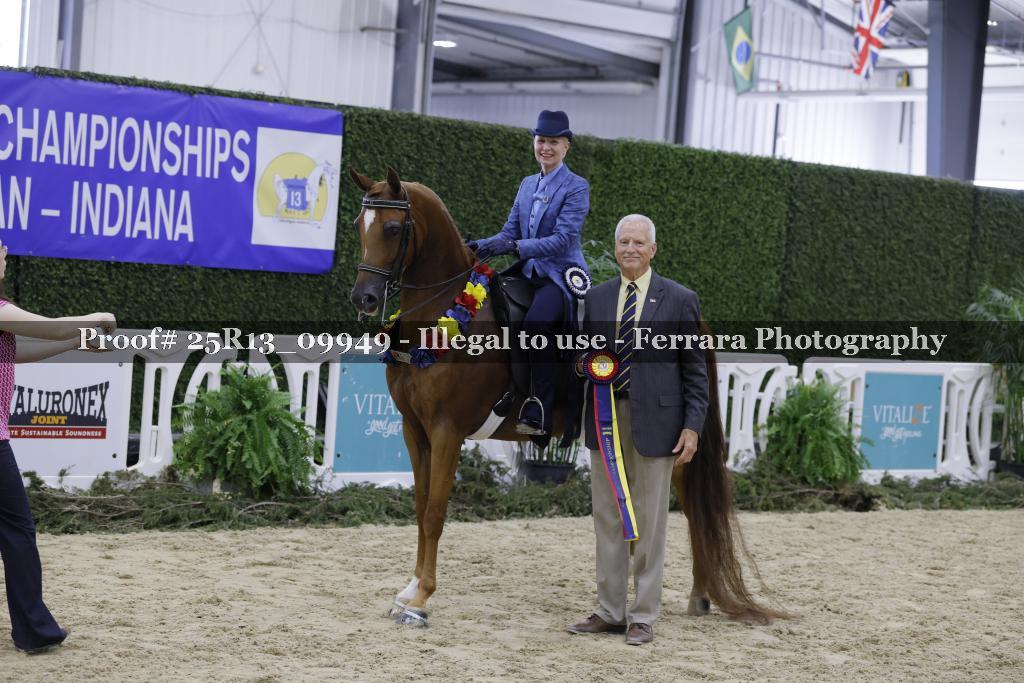 Proof 25R13_09949