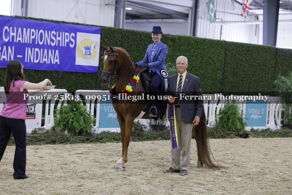 Proof 25R13_09951