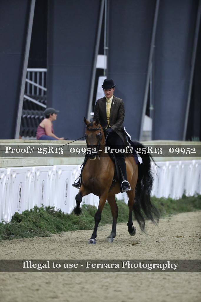 Proof 25R13_09952