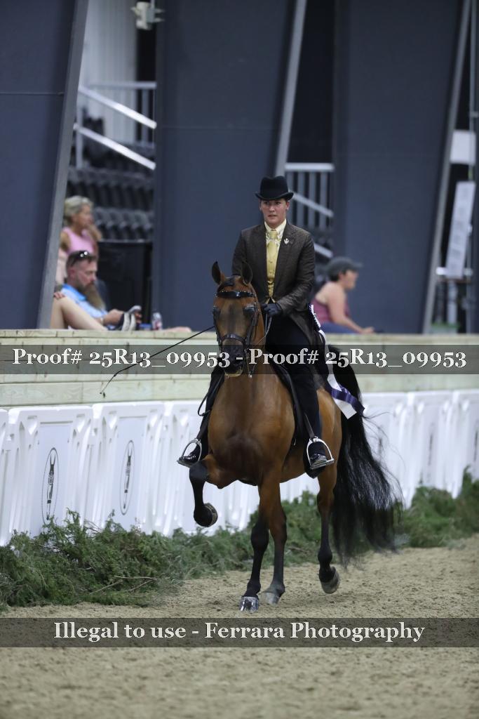Proof 25R13_09953