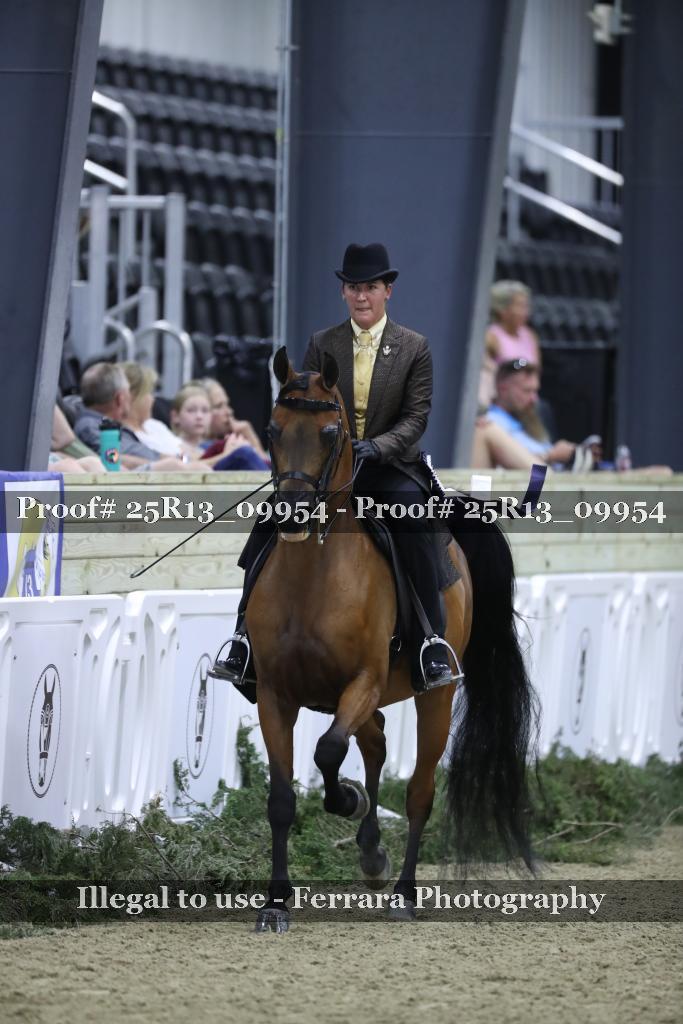 Proof 25R13_09954