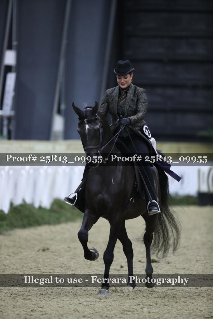 Proof 25R13_09955