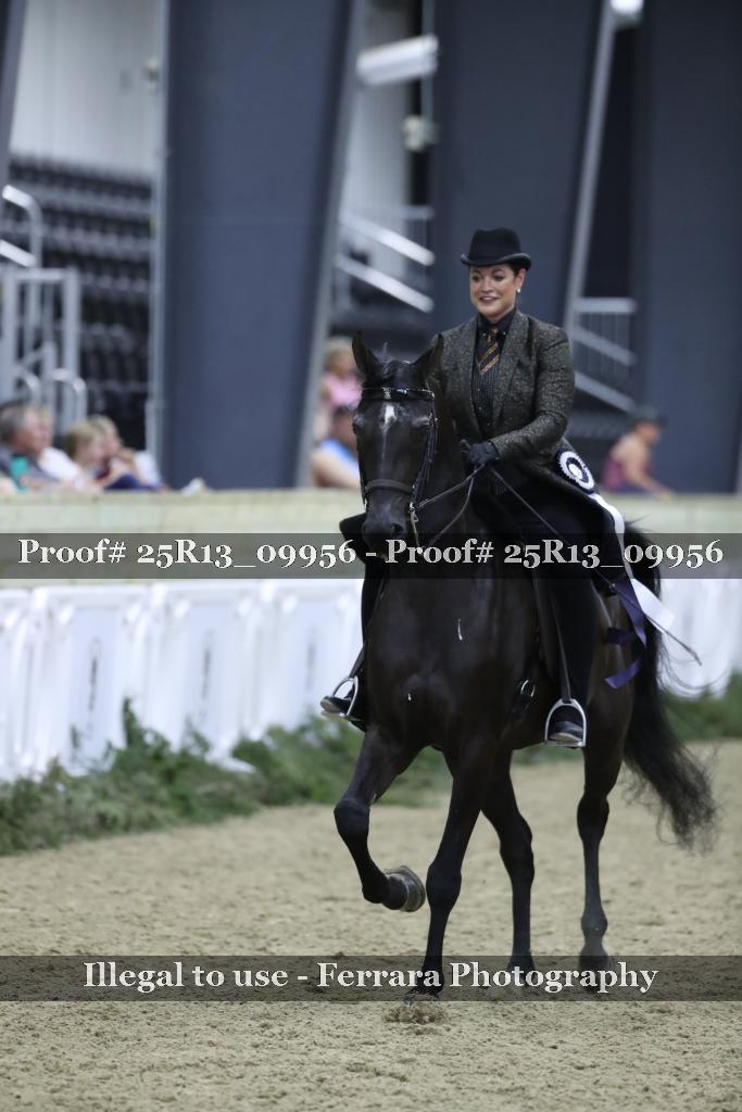 Proof 25R13_09956