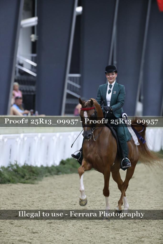 Proof 25R13_09957