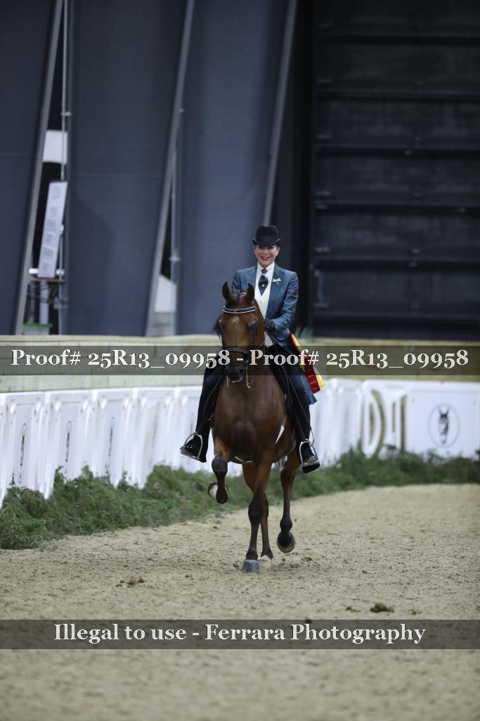 Proof 25R13_09958