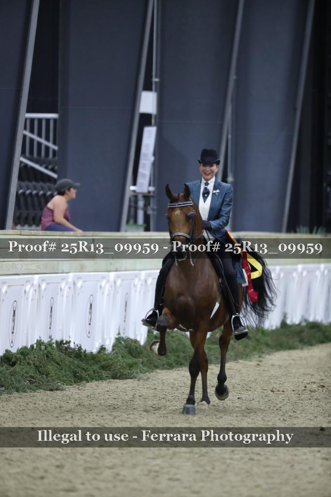 Proof 25R13_09959