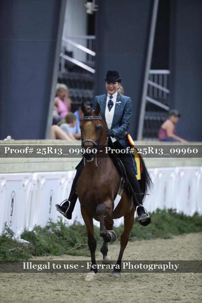 Proof 25R13_09960