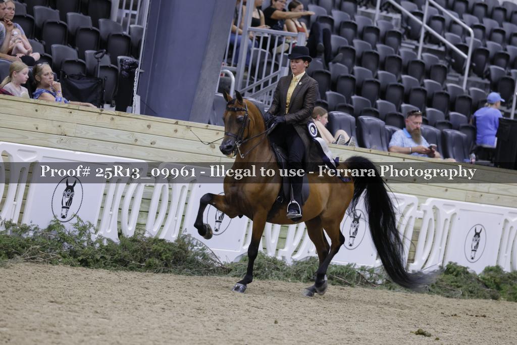Proof 25R13_09961