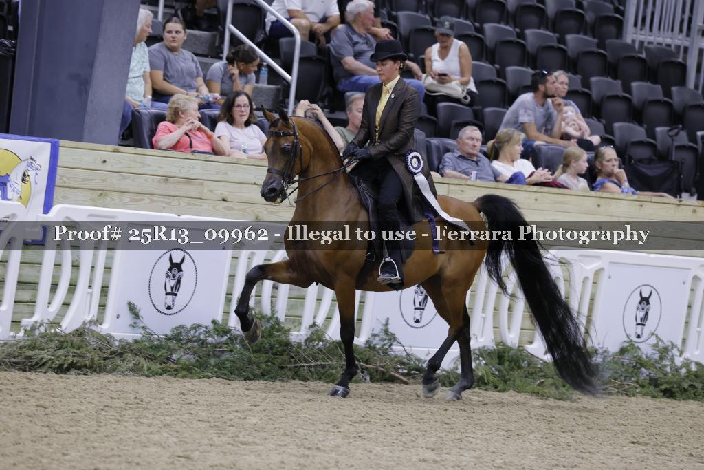 Proof 25R13_09962
